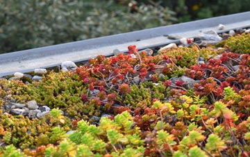 the cost of Morrilow Heath green roof installation