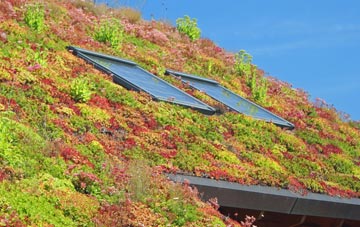Morrilow Heath living roof systems