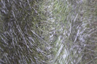 Morrilow Heath fibreglass roof work